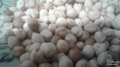 فروش نخود خشک