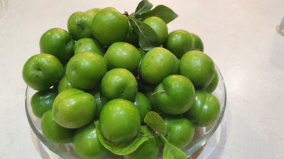 فروش گوجه سبز