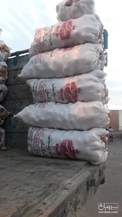 فروش سیب زمینی بامبو