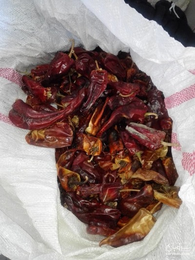 فروش فلفل خشک