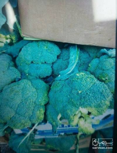 فروش کلم بروکلی