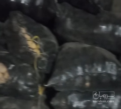 فروش سیب زمینی کلمبا