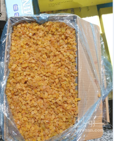 فروش کشمش انگوری