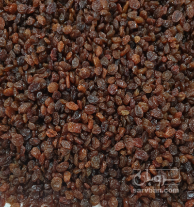 فروش کشمش تیزابی