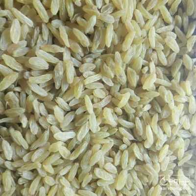 فروش کشمش زرد پیکامی