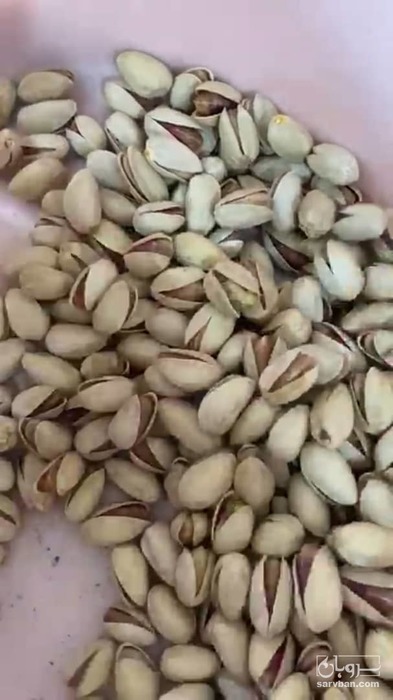 فروش پسته  احمد آقایی دست چین