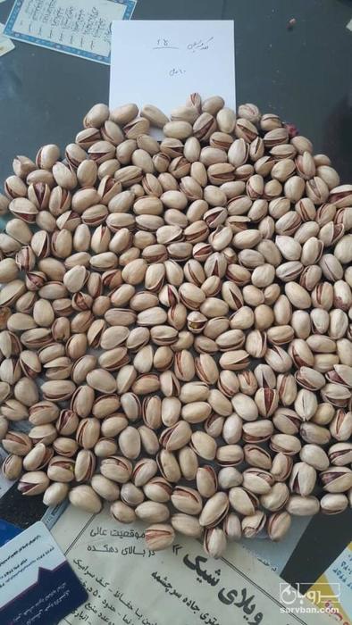 فروش پسته  کله قوچی