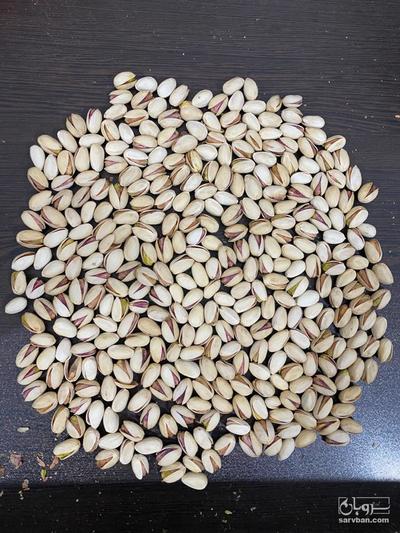 فروش پسته اکبری معمولی