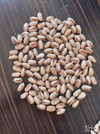 فروش پسته  اکبری دستچن