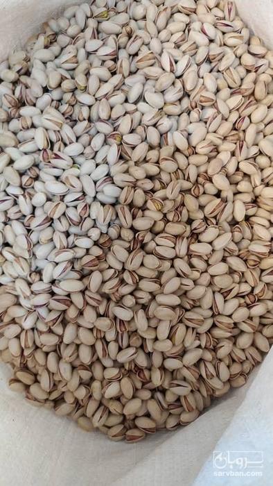 فروش پسته احمد اقایی دستچین