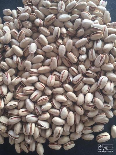 فروش پسته اکبری دستچین