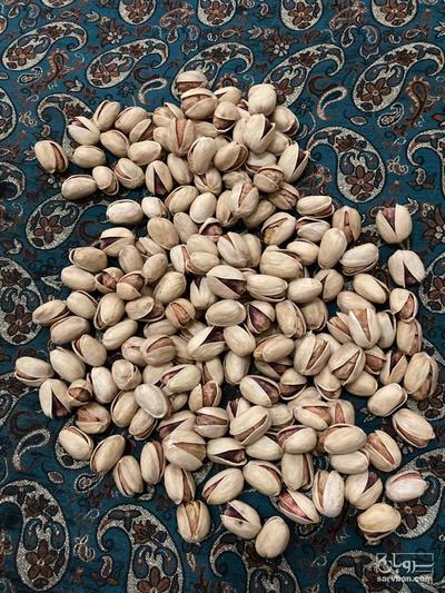 فروش پسته کله قوچی دستچین