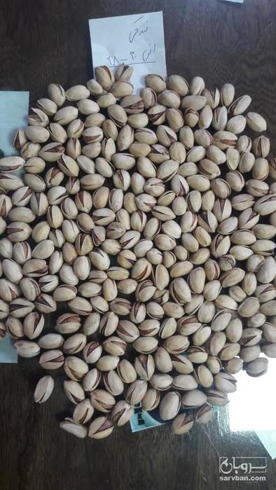 فروش پسته فندقی