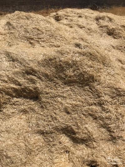 فروش کاه گندم