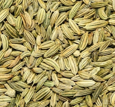 فروش رازیانه