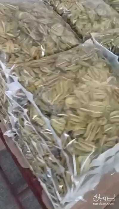 فروش کیوی خشک