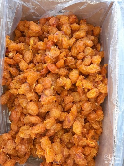 فروش آلو بخارا صادراتی