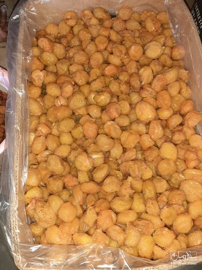 فروش آلو بخارا