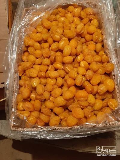 فروش آلو بخارا