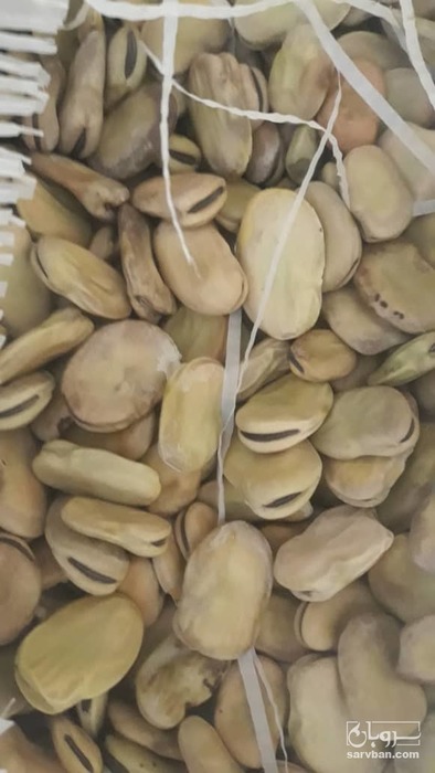 فروش باقلا خشک