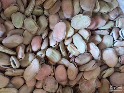 فروش باقلاخشک