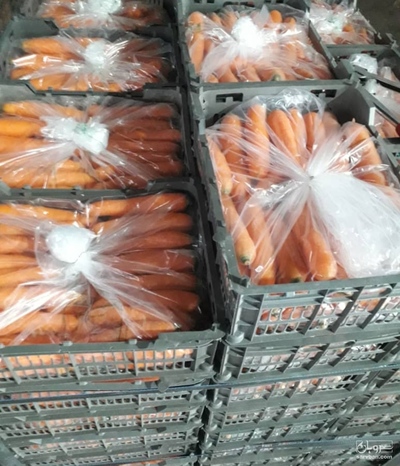 فروش هویج شسته