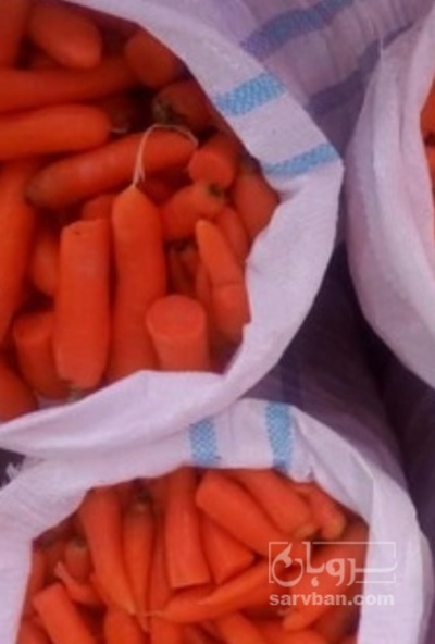 فروش هویج شکسته شسته شده