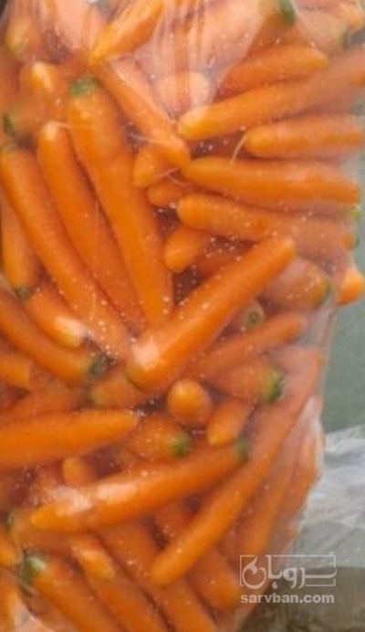 فروش هویج شسته