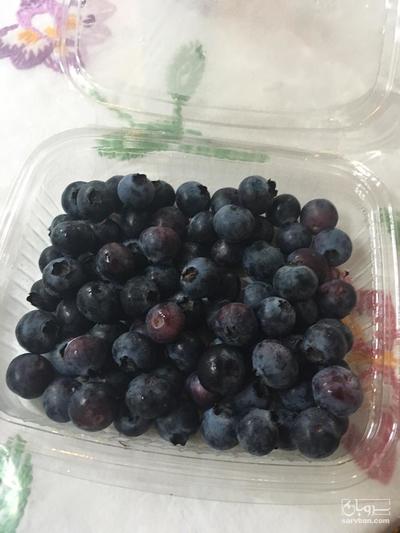 فروش بلوبری