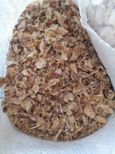 فروش پیاز خشک