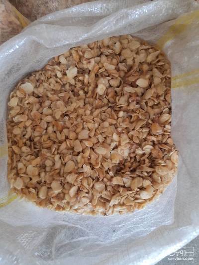 فروش سیر خشک -