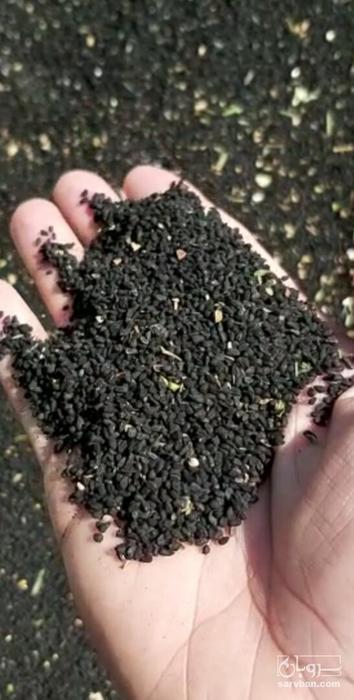 فروش سیاهدانه