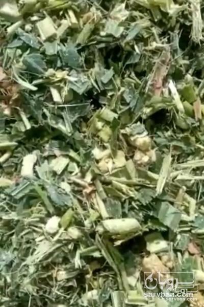 فروش چاپر ذرت - سیلاژ ذرت