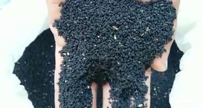 فروش سیاهدانه