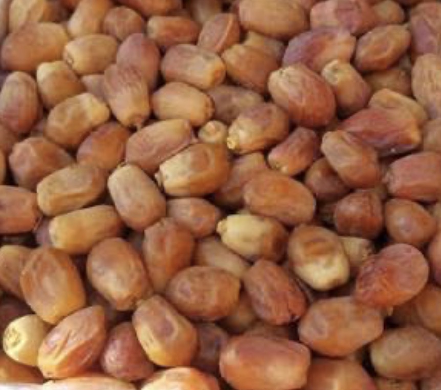 فروش خرمازاهدی