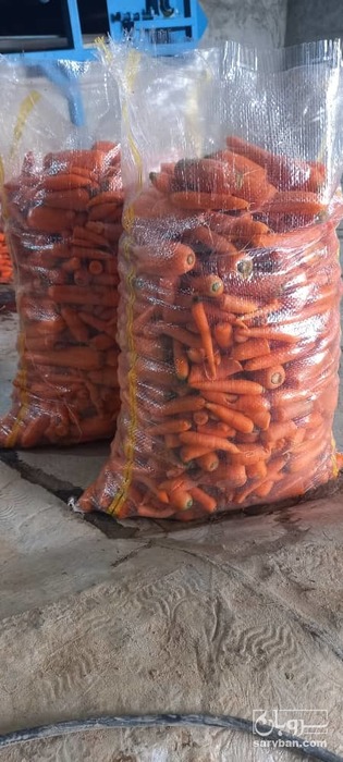 فروش هویج شکسته