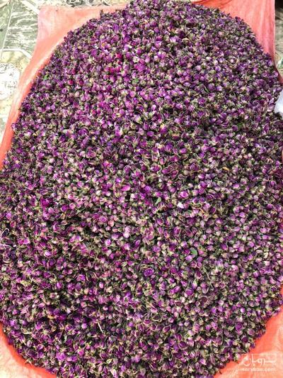 فروش گل محمدی