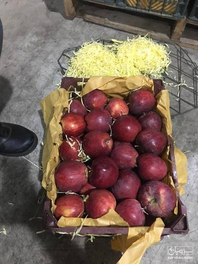 فروش سیب درجه یک مراغه