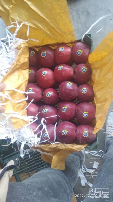 فروش سیب لوکس مراغه