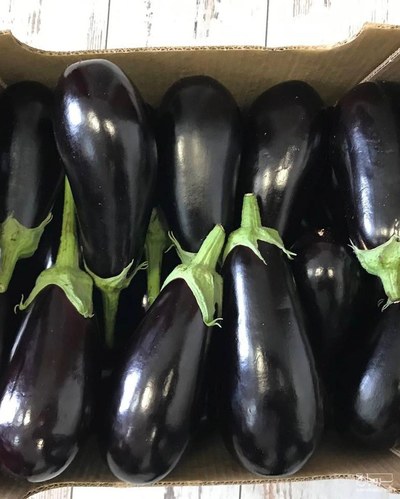 فروش بادمجان لامپی