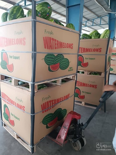 فروش هندوانه