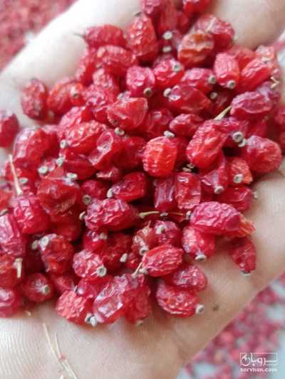 فروش زرشک پفکی