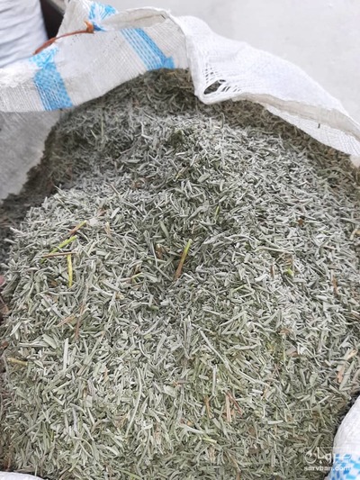 فروش برگ اسطوخودوس فرانسوی