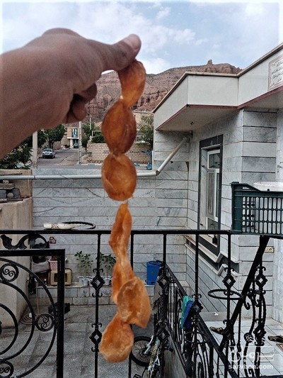 فروش زردآلو خشک