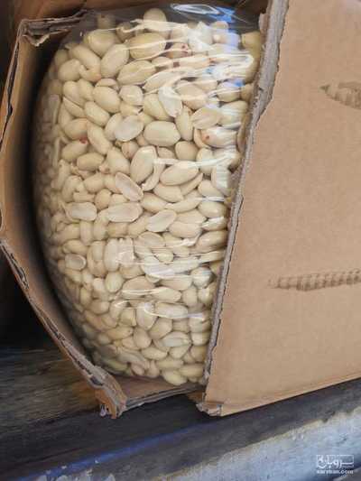 فروش بادام زمینی پوست کنده