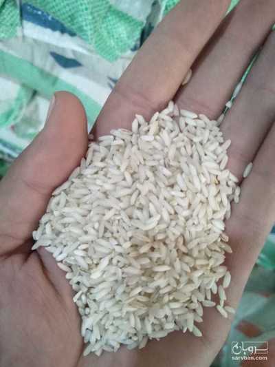 فروش برنج عنبربو