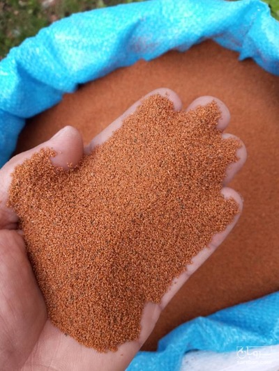 فروش خاکشیر