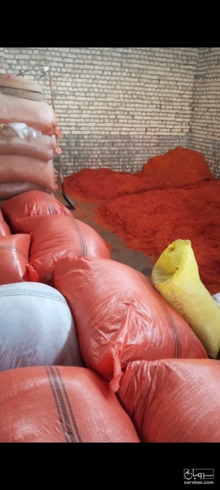 فروش شوید خشک