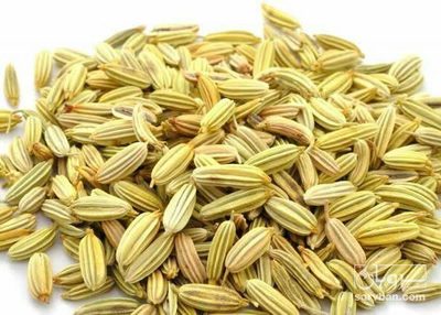 خرید رازیانه