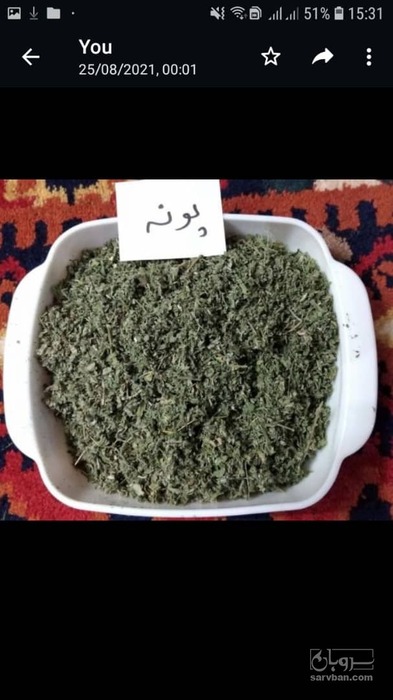 فروش پونه (گیاه‌ دارویی)